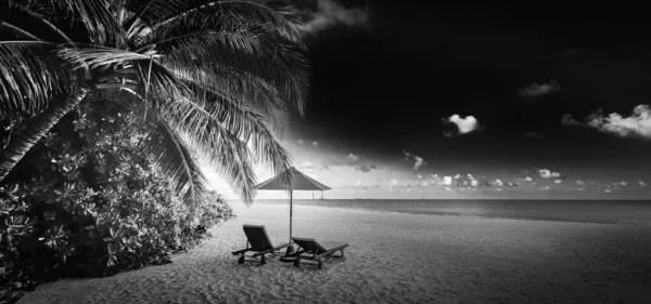 平静的黑色和白色的海滩场景 戏剧化的岛屿海岸景观 漆黑的天空白沙滩 单色热带海岸 棕榈树轮廓 摘要自然夏游墙纸 — 图库照片