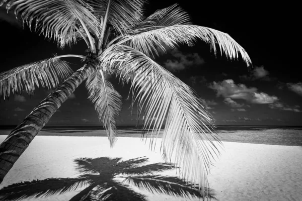 Ruhige Schwarz Weiß Szene Strand Dramatische Insellandschaft Dunkler Himmelweißer Sand — Stockfoto