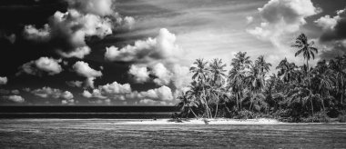 Sakin siyah beyaz plaj sahnesi. Dramatik ada kıyısı manzarası, karanlık gökyüzü beyaz kum. Tek renkli tropik sahil, palmiye ağaçlarının silueti. Soyut doğa yaz seyahati duvar kağıdı