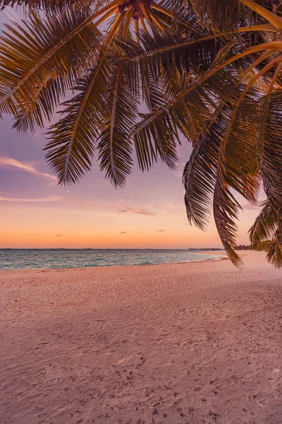 Fantastische Nahaufnahme Von Einsamen Palmen Ruhigen Meerwasser Wellen Mit Orangefarbenem — Stockfoto