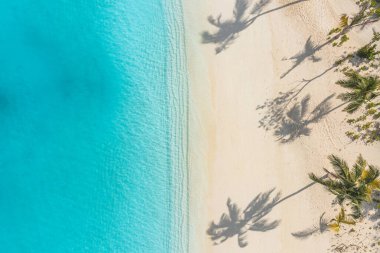 Sahildeki deniz dalgalarının göz kamaştırıcı manzarası. Sakin kristal berrak su. Çarpıcı yaz manzarası, güneşli tropikal ada kıyısı. 