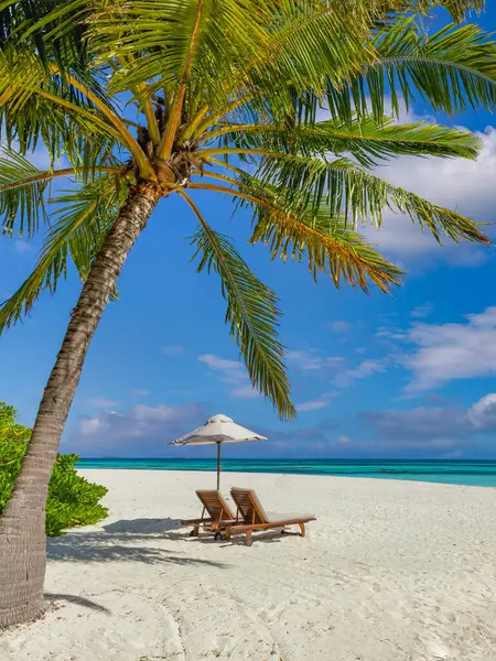 Tropik Turizm Plajı Yaz Doğa Manzarası Özgürlük Romantik Sandalyeler Palmiye — Stok fotoğraf