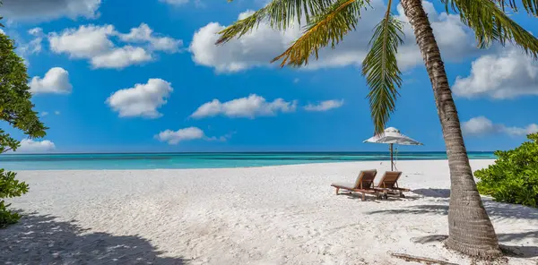 熱帯観光ビーチ 夏の自然の風景 ロマンチックな椅子 ヤシの木 穏やかな海 ストック画像