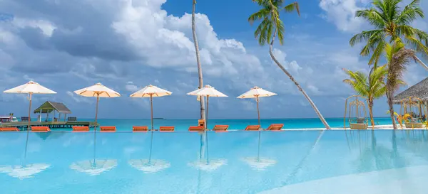 熱帯観光ビーチ 夏の自然の風景 ロマンチックな椅子 ヤシの木 穏やかな海 ストックフォト