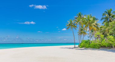 Mükemmel ada sahili. Yaz cennetinin tropik seyahat manzarası. Beyaz kum palmiyeleri güneşli mavi deniz gökyüzü.