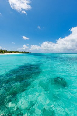 Yaz deniz manzaralı güzel bir yakın çekim. Güneşli bir günde mavi deniz suyu. 