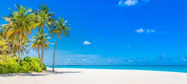 Mükemmel ada sahili. Yaz cennetinin tropik seyahat manzarası. Beyaz kum palmiyeleri güneşli mavi deniz gökyüzü.