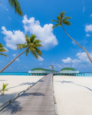 Maldivler adasının mükemmel manzarası, lüks su villaları.