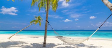 Mükemmel ada sahili. Yaz cennetinin tropik seyahat manzarası. Beyaz kum palmiyeleri güneşli mavi deniz gökyüzü.