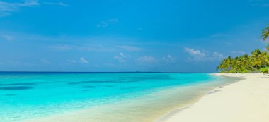 Mükemmel ada sahili. Yaz cennetinin tropik seyahat manzarası. Beyaz kum palmiyeleri güneşli mavi deniz gökyüzü.