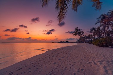 Gün batımında mükemmel ada sahili. Yaz cennetinin tropik seyahat manzarası. Beyaz kum palmiyeleri güneşli mavi deniz gökyüzü.