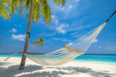 Mükemmel ada sahili. Yaz cennetinin tropik seyahat manzarası. Beyaz kum palmiyeleri güneşli mavi deniz gökyüzü.