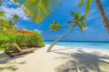 Mükemmel ada sahili. Yaz cennetinin tropik seyahat manzarası. Beyaz kum palmiyeleri güneşli mavi deniz gökyüzü.