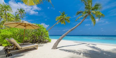 Mükemmel ada sahili. Yaz cennetinin tropik seyahat manzarası. Beyaz kum palmiyeleri güneşli mavi deniz gökyüzü.