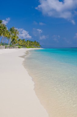 Mükemmel ada sahili. Yaz cennetinin tropik seyahat manzarası. Beyaz kum palmiyeleri güneşli mavi deniz gökyüzü.