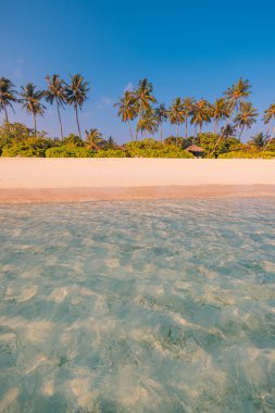 Güzel sahil ve tropikal deniz. Tatil ya da bayram afişi için harika bir manzara 