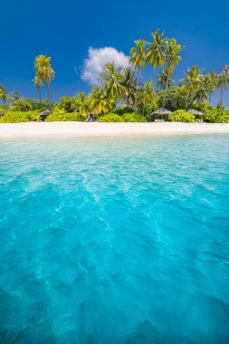 Güzel sahil ve tropikal deniz. Tatil ya da bayram afişi için harika bir manzara 
