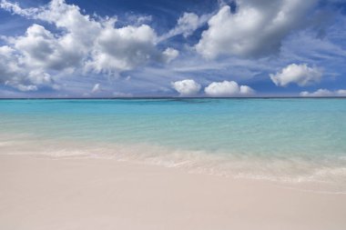 Yakın kumlu sahil, güneşli mavi deniz göğü. Panoramik plaj manzarası. Boş tropikal deniz kıyısı ve deniz manzaralı fotokopi alanı. Beyaz yumuşak kum dokusu, sakinlik, huzur veren güneş ışığı, yaz rüyası havası.