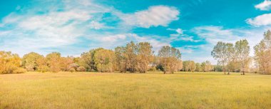 Yeşil çayır, ağaçlar ve mavi gökyüzü olan güzel yaz manzarası. 