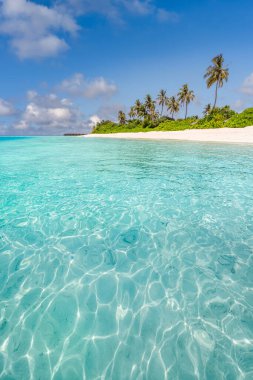 Güzel sahil ve tropikal deniz. Tatil ya da bayram afişi için harika bir manzara 