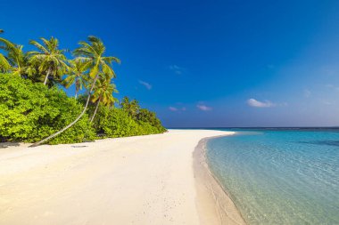 Güzel sahil ve tropikal deniz. Tatil ya da bayram afişi için harika bir manzara 
