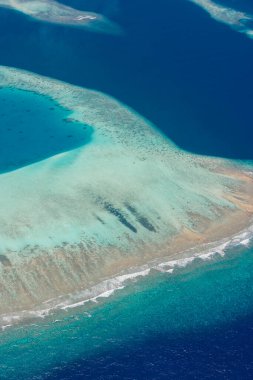 Temiz su mercan resifli tropikal ada sahili manzarası. Maldivler adaları, doğa cenneti.