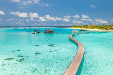 Palmiye ağaçlarıyla muhteşem tropikal adaya giden köprünün manzarası