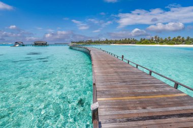 Palmiye ağaçlarıyla muhteşem tropikal adaya giden köprünün manzarası
