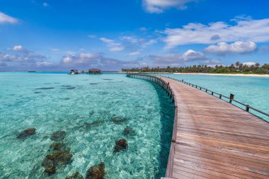 Palmiye ağaçlarıyla muhteşem tropikal adaya giden köprünün manzarası