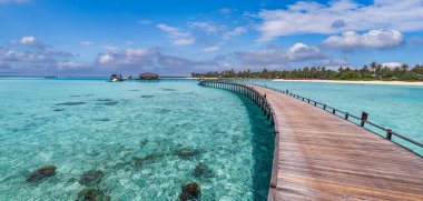 Palmiye ağaçlarıyla muhteşem tropikal adaya giden köprünün manzarası