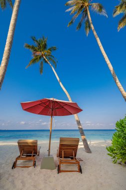 Palmiye ağaçları, plaj sandalyeleri ve şemsiyeleri olan güzel tropik plajlar.