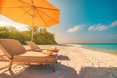 Palmiye ağaçları, plaj sandalyeleri ve şemsiyeleri olan güzel tropik plajlar.