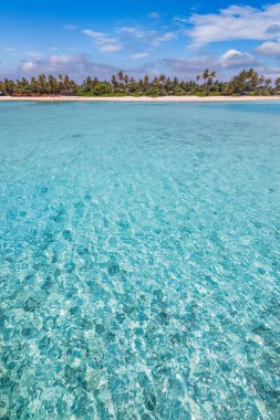Palmiyeleri ve okyanusu olan tropikal sahil manzarası