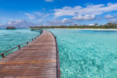 Palmiye ağaçlarıyla muhteşem tropikal adaya giden köprünün manzarası
