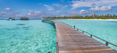 Palmiye ağaçlarıyla muhteşem tropikal adaya giden köprünün manzarası