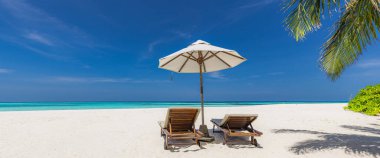 Palmiye ağaçları, plaj sandalyeleri ve şemsiyeleri olan güzel tropik plajlar.