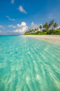 Palmiye ağaçları ve kristal suyu olan tropik plaj