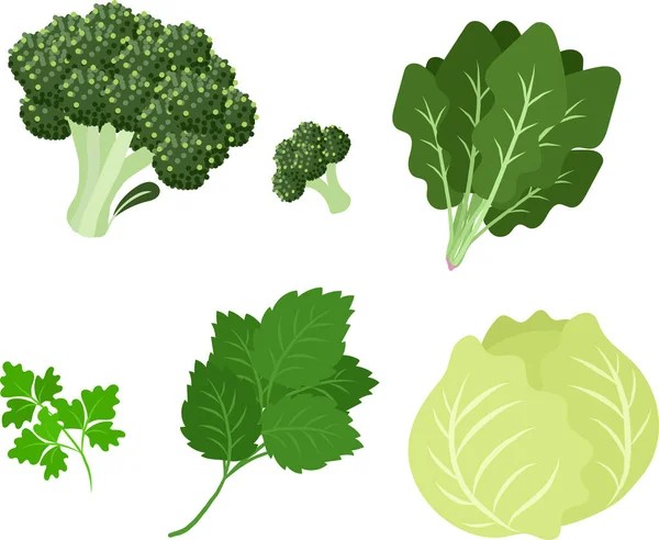 Cute Icons Various Food Broccoli Spinach Coriander Morokheiya Cabbage — Stock Vector
