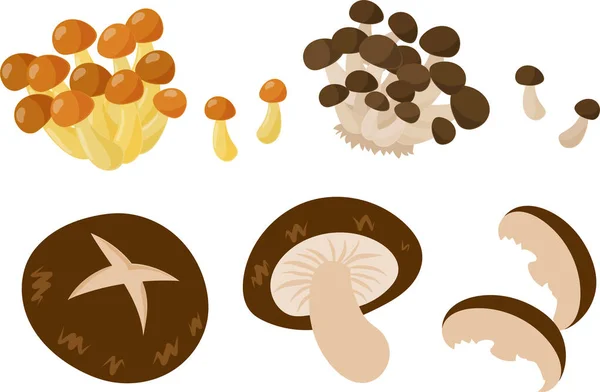 Los Iconos Lindos Varios Alimentos Como Nameko Shimeji Shiitake — Vector de stock