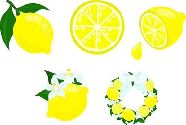 Набір Іконок Милий Освіжаючий Лимон Такий Фрукти Квітка Вінок — стоковий вектор