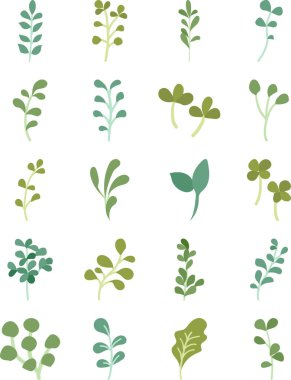 Bitki ve yaprak temalı şık ve şık simgeler.