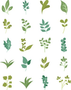Bitki ve yaprak temalı şık ve şık simgeler.
