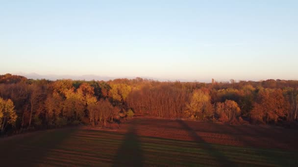 市区附近的空中公园景观 — 图库视频影像