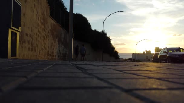 Eine Katze Überquert Die Straße Bei Sonnenuntergang Mit Dem Meer — Stockvideo