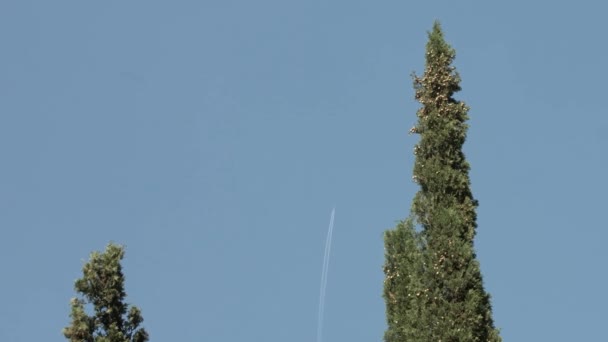 Timelapse에서 하늘에 트레일 비행기 — 비디오