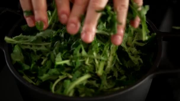 Der Koch Gibt Den Salat Den Topf — Stockvideo