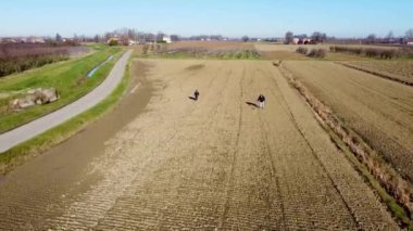 Bir çift hazine avcısı ve metal dedektörleri tarlada ekilmeye hazır.