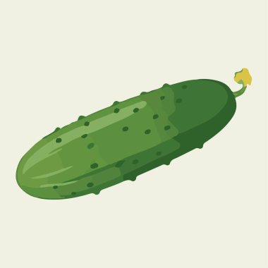 Salatalık yeşili taze, çiftlik sebzesi, beyaz arka planda izole edilmiş vektör çizimi.