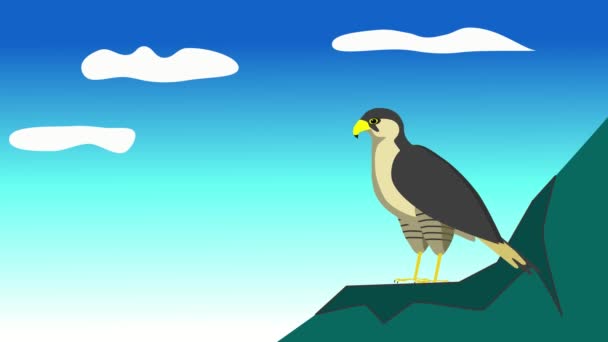 Şahin Kuşu Kaya Animasyonunda Oturur — Stok video