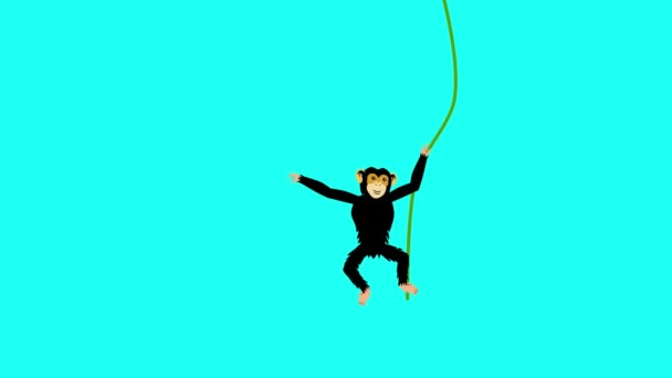 화면에 침팬지 애니메이션 — 비디오